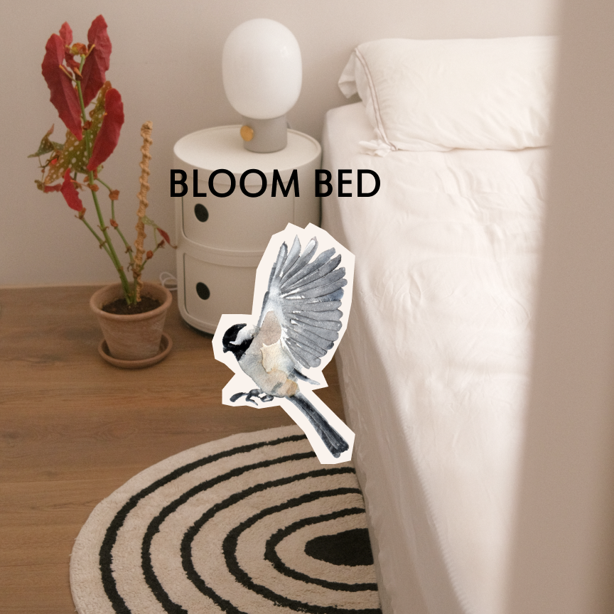 Bloom Up 居家換季驚喜盒