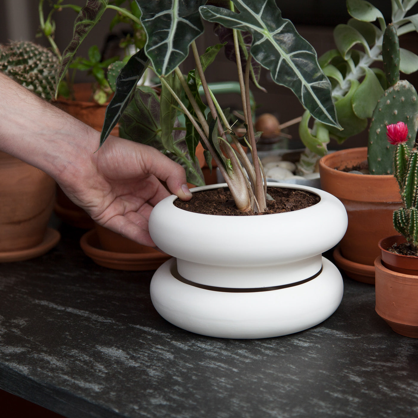 Stacked Stoneware Pots – Short