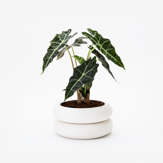 Stacked Stoneware Pots – Short
