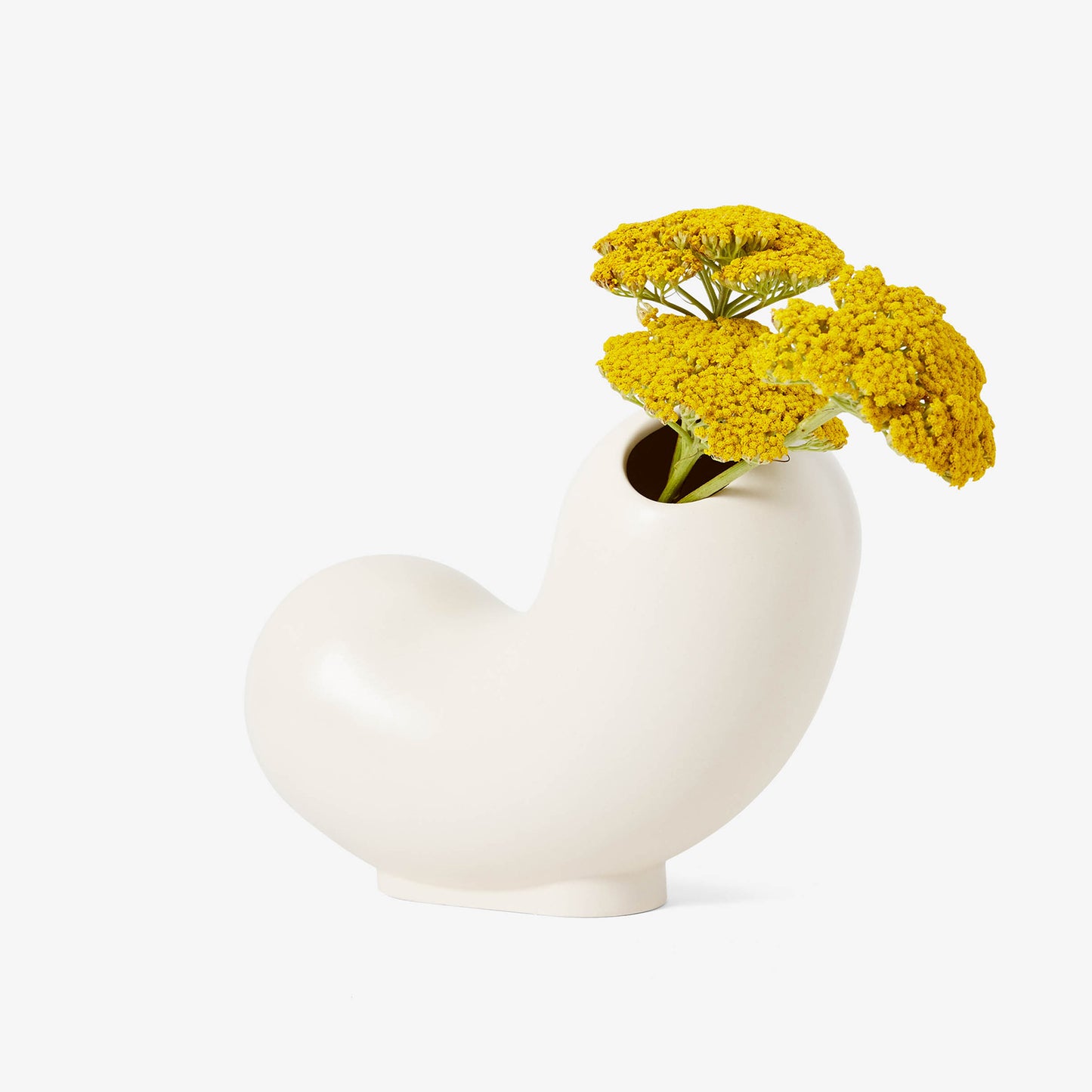 Curly Vase